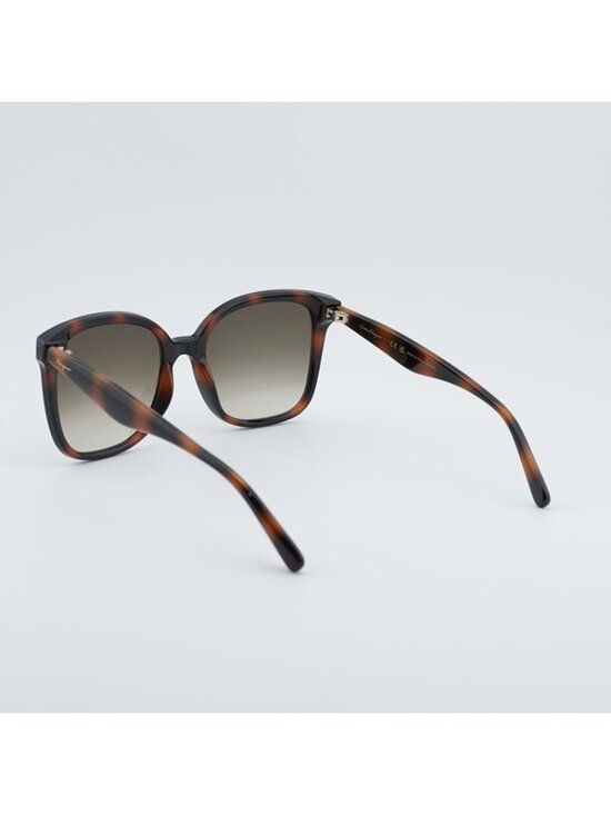 Salvatore Ferragamo SF1072S 240 Sunglasses Havana Square Frame, Brown Lenses
